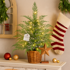 24" Pre-Lit Cypress Christmas Tree with Warm White Twinkle LEDs in Basket