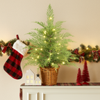 24" Pre-Lit Cypress Christmas Tree with Warm White Twinkle LEDs in Basket