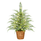 24" Pre-Lit Cypress Christmas Tree with Warm White Twinkle LEDs in Basket