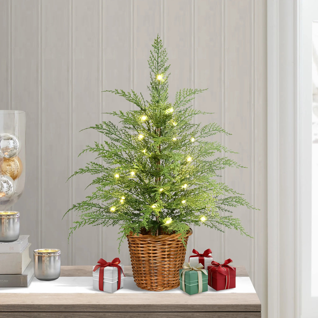 24" Pre-Lit Cypress Christmas Tree with Warm White Twinkle LEDs in Basket