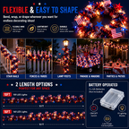 American Flag & Star Red White Blue Fairy Lights