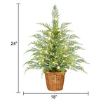 24" Pre-Lit Cypress Christmas Tree with Warm White Twinkle LEDs in Basket