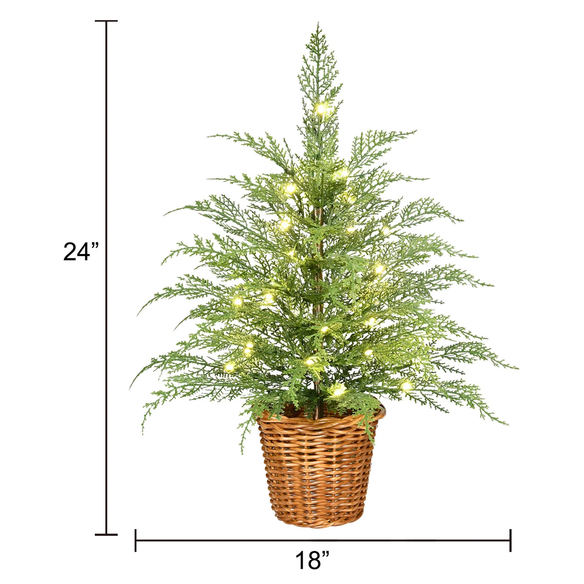 24" Pre-Lit Cypress Christmas Tree with Warm White Twinkle LEDs in Basket